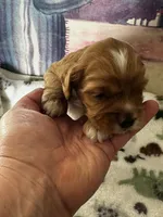 processed/744e7277-64a7-4af7-a13f-8ae8c2ba6709/listing/253acfc4-664d-44cd-8943-2a35b824ccb0/0b0f3958-6e6e-495b-99d8-b04dc98a8c28