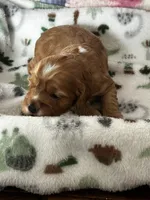 processed/744e7277-64a7-4af7-a13f-8ae8c2ba6709/listing/253acfc4-664d-44cd-8943-2a35b824ccb0/67ae5b5d-7f44-469e-a3ef-5eeae2eae74d