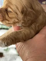 processed/744e7277-64a7-4af7-a13f-8ae8c2ba6709/listing/253acfc4-664d-44cd-8943-2a35b824ccb0/75dd7205-e544-4a85-b891-c9c3b903a206