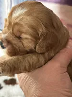 processed/744e7277-64a7-4af7-a13f-8ae8c2ba6709/listing/253acfc4-664d-44cd-8943-2a35b824ccb0/9d5fc209-479d-407c-9a4c-356e3fffca0e