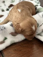 processed/744e7277-64a7-4af7-a13f-8ae8c2ba6709/listing/253acfc4-664d-44cd-8943-2a35b824ccb0/a9a15e3a-caa5-4899-aa97-807dc4485e1f