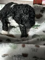 processed/744e7277-64a7-4af7-a13f-8ae8c2ba6709/listing/7a2c35f4-f75a-4fc5-9616-7104cb7f4790/a8a3c3ab-7488-4f20-9d92-57f9b55749c4