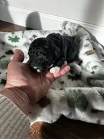 processed/744e7277-64a7-4af7-a13f-8ae8c2ba6709/listing/7a2c35f4-f75a-4fc5-9616-7104cb7f4790/b0a1a23d-ff31-4591-a3e9-6d43a268f2c9