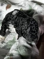 processed/744e7277-64a7-4af7-a13f-8ae8c2ba6709/listing/7a2c35f4-f75a-4fc5-9616-7104cb7f4790/bf4d1b29-1cb6-40d6-871a-d1815407c187