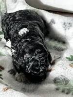 processed/744e7277-64a7-4af7-a13f-8ae8c2ba6709/listing/7a2c35f4-f75a-4fc5-9616-7104cb7f4790/cac4c408-f4f3-4713-8292-83921f5e259f