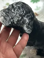 processed/744e7277-64a7-4af7-a13f-8ae8c2ba6709/listing/7a2c35f4-f75a-4fc5-9616-7104cb7f4790/e4ede1ac-d8e2-4aae-b383-ac8bbea0f37a