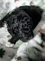 processed/744e7277-64a7-4af7-a13f-8ae8c2ba6709/listing/7a2c35f4-f75a-4fc5-9616-7104cb7f4790/ea47c5ad-368c-4bdf-bd00-ebffcb1da4da