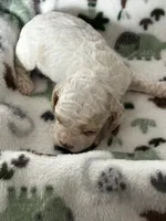 processed/744e7277-64a7-4af7-a13f-8ae8c2ba6709/listing/ab328fc1-ad25-4ad4-bba6-46287f0da0d8/1dd8ddc9-0e8a-4392-aa2f-db1791fa0975