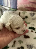 processed/744e7277-64a7-4af7-a13f-8ae8c2ba6709/listing/ab328fc1-ad25-4ad4-bba6-46287f0da0d8/7838efc3-8991-4146-80f0-21e168eba71a