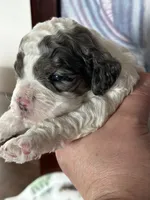 processed/744e7277-64a7-4af7-a13f-8ae8c2ba6709/listing/bc074ef5-e9b2-4753-a426-3b758eaab24a/22d6649f-42dc-4322-8680-0627e56b629f