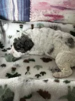 processed/744e7277-64a7-4af7-a13f-8ae8c2ba6709/listing/bc074ef5-e9b2-4753-a426-3b758eaab24a/4dc15407-fb84-413b-bcb2-5f2d7d6adf0d