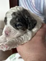 processed/744e7277-64a7-4af7-a13f-8ae8c2ba6709/listing/bc074ef5-e9b2-4753-a426-3b758eaab24a/8b60dc8b-3c8b-47fb-bcd2-ad0a68fa2679