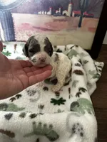 processed/744e7277-64a7-4af7-a13f-8ae8c2ba6709/listing/bc074ef5-e9b2-4753-a426-3b758eaab24a/a8f55a5c-d6a1-4438-99ca-5f87926fe7a0