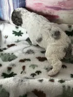 processed/744e7277-64a7-4af7-a13f-8ae8c2ba6709/listing/bc074ef5-e9b2-4753-a426-3b758eaab24a/ce9fdba3-0677-4fb4-8a2d-22c156b8b857