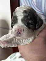 processed/744e7277-64a7-4af7-a13f-8ae8c2ba6709/listing/bc074ef5-e9b2-4753-a426-3b758eaab24a/d9497e70-6838-432f-90de-947a53f95f0c