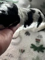 processed/744e7277-64a7-4af7-a13f-8ae8c2ba6709/listing/d596b0ca-e1ac-4e96-9c5c-fe355fb11160/485b9a5a-7902-4b40-9f01-824cb825875a