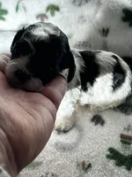 processed/744e7277-64a7-4af7-a13f-8ae8c2ba6709/listing/d596b0ca-e1ac-4e96-9c5c-fe355fb11160/6683de47-3ad7-4195-b30d-41bac7e7111c