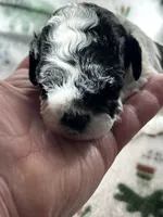 processed/744e7277-64a7-4af7-a13f-8ae8c2ba6709/listing/d596b0ca-e1ac-4e96-9c5c-fe355fb11160/7844159e-11c5-45a3-91f2-41eb7dabac78