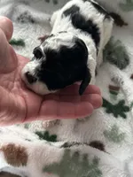 processed/744e7277-64a7-4af7-a13f-8ae8c2ba6709/listing/d596b0ca-e1ac-4e96-9c5c-fe355fb11160/99b70755-1bb7-418a-a16a-dc70ac35ae6e