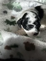 processed/744e7277-64a7-4af7-a13f-8ae8c2ba6709/listing/d596b0ca-e1ac-4e96-9c5c-fe355fb11160/df76cbbb-e70c-45f6-8626-e4426b8c33fb