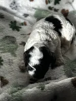 processed/744e7277-64a7-4af7-a13f-8ae8c2ba6709/listing/d596b0ca-e1ac-4e96-9c5c-fe355fb11160/e9d2ca8c-f2ed-4f9d-99e0-67e9e7cb0b29