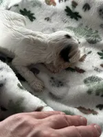 processed/744e7277-64a7-4af7-a13f-8ae8c2ba6709/listing/d9a6c6ee-1805-48c0-94dc-071f6d60e270/1921bc23-6173-4809-ae80-9148c5e2679f