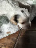 processed/744e7277-64a7-4af7-a13f-8ae8c2ba6709/listing/d9a6c6ee-1805-48c0-94dc-071f6d60e270/1e48db62-a772-4d91-9503-2a12c4931fa1