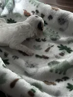 processed/744e7277-64a7-4af7-a13f-8ae8c2ba6709/listing/d9a6c6ee-1805-48c0-94dc-071f6d60e270/c64abb04-b7ac-4c40-b5d3-ef0d60362945