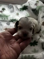 processed/744e7277-64a7-4af7-a13f-8ae8c2ba6709/listing/d9a6c6ee-1805-48c0-94dc-071f6d60e270/dd1431b9-f16a-41f1-8047-af44125a317f