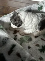 processed/744e7277-64a7-4af7-a13f-8ae8c2ba6709/listing/f4bbe0a4-1e6c-4c95-8825-ee2699d27a17/625920e1-20c6-4fdd-b35a-802641ab0198