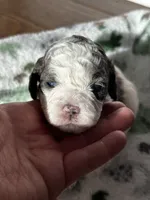 processed/744e7277-64a7-4af7-a13f-8ae8c2ba6709/listing/f4bbe0a4-1e6c-4c95-8825-ee2699d27a17/737b90a2-cbbc-431a-b7d1-33e7f5051a41