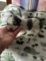 processed/744e7277-64a7-4af7-a13f-8ae8c2ba6709/listing/f4bbe0a4-1e6c-4c95-8825-ee2699d27a17/84dfce98-7ca1-4188-8786-d2a000b2b4f3