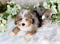 processed/7452b8a1-6a5d-45ec-aa67-33b726ded4ea/listing/257dc162-000a-4d2a-af59-e73a707535a5/0aae1493-c732-45a8-8d99-12fcf403fc64