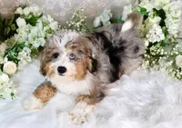 processed/7452b8a1-6a5d-45ec-aa67-33b726ded4ea/listing/257dc162-000a-4d2a-af59-e73a707535a5/2c3e2913-1334-49bf-8499-2b6842f32078