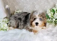 processed/7452b8a1-6a5d-45ec-aa67-33b726ded4ea/listing/257dc162-000a-4d2a-af59-e73a707535a5/4b16334c-8c12-4a87-854e-97a8776e8f07