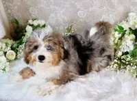 processed/7452b8a1-6a5d-45ec-aa67-33b726ded4ea/listing/257dc162-000a-4d2a-af59-e73a707535a5/5055b9c8-d03f-458e-8a14-85ae286a7ce0