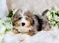 processed/7452b8a1-6a5d-45ec-aa67-33b726ded4ea/listing/257dc162-000a-4d2a-af59-e73a707535a5/b11f399c-cc28-4cc1-b2a6-abf527bba27d