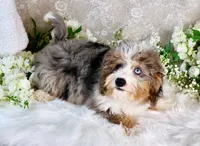 processed/7452b8a1-6a5d-45ec-aa67-33b726ded4ea/listing/257dc162-000a-4d2a-af59-e73a707535a5/e3a900d0-35b0-43b4-8fce-2b12d46c22b5