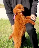 processed/7452b8a1-6a5d-45ec-aa67-33b726ded4ea/listing/5f5588aa-4710-45f9-8958-337f799fa5a5/2c641c4b-43d8-44bc-aed8-0d98b561598c