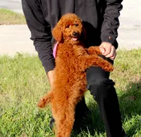 processed/7452b8a1-6a5d-45ec-aa67-33b726ded4ea/listing/5f5588aa-4710-45f9-8958-337f799fa5a5/41de6888-017e-4645-aeb5-e0ff183d89a9