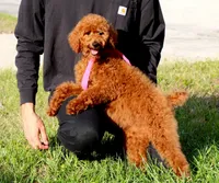 processed/7452b8a1-6a5d-45ec-aa67-33b726ded4ea/listing/5f5588aa-4710-45f9-8958-337f799fa5a5/4b0635e6-31ba-471a-9aa6-b9bfe8599aa5