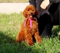 processed/7452b8a1-6a5d-45ec-aa67-33b726ded4ea/listing/5f5588aa-4710-45f9-8958-337f799fa5a5/5557fe4e-4dae-4aa3-923e-66f50a6c5fbd