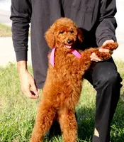 processed/7452b8a1-6a5d-45ec-aa67-33b726ded4ea/listing/5f5588aa-4710-45f9-8958-337f799fa5a5/6a7837eb-ec0c-4a41-8127-7f7b2e630abe