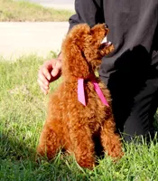 processed/7452b8a1-6a5d-45ec-aa67-33b726ded4ea/listing/5f5588aa-4710-45f9-8958-337f799fa5a5/9e66c0b3-14d8-46e1-b518-e59eca56a0ce