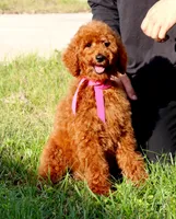 processed/7452b8a1-6a5d-45ec-aa67-33b726ded4ea/listing/5f5588aa-4710-45f9-8958-337f799fa5a5/bacbeec0-c625-4523-bdb3-aaa77f1811ec