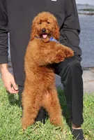 processed/7452b8a1-6a5d-45ec-aa67-33b726ded4ea/listing/60a5a3a6-3c69-4d09-a71f-898c43d88146/451f8da8-a7d0-4606-b5da-2bf9487536aa