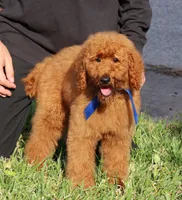 processed/7452b8a1-6a5d-45ec-aa67-33b726ded4ea/listing/60a5a3a6-3c69-4d09-a71f-898c43d88146/602c9643-d632-44ce-bf48-210b955d2fed