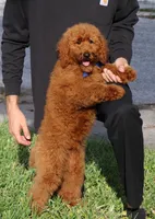 processed/7452b8a1-6a5d-45ec-aa67-33b726ded4ea/listing/60a5a3a6-3c69-4d09-a71f-898c43d88146/60916ebc-4259-4af1-aee5-6df873570e47