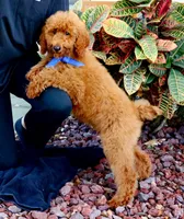 processed/7452b8a1-6a5d-45ec-aa67-33b726ded4ea/listing/60a5a3a6-3c69-4d09-a71f-898c43d88146/94a0d2e1-dba1-4101-a2aa-94b5e5f6287f