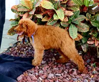 processed/7452b8a1-6a5d-45ec-aa67-33b726ded4ea/listing/60a5a3a6-3c69-4d09-a71f-898c43d88146/da31ad8b-2de6-4198-9e72-86925790621f